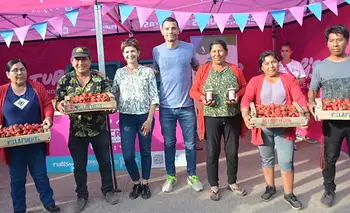 Celebra la Fiesta de la Frutilla y queda a menos de una hora de CABA | Turismo