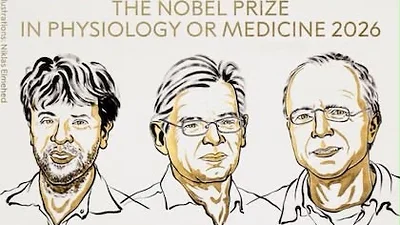 El premio Nobel de Medicina: tres científicos reconocidos por el uso de la luz para estudiar las células y las neuronas El premio Nobel de Medicina: tres científicos reconocidos por el uso de la luz para estudiar las células y las neuronas