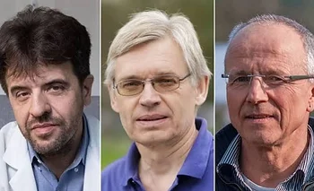 Tres científicos ganaron el Nobel por descubrir cómo prender y apagar neuronas con luz | En medicina o fisiología