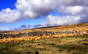 De estancia con 12.000 ovejas a reserva natural: la transformación de Finca La Trinidad | Curiosidades