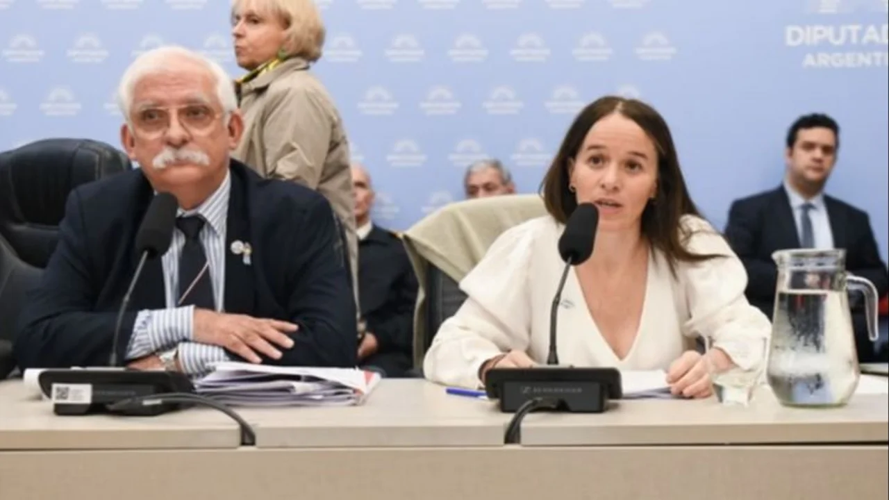Tensión, gritos y ataques: el proyecto de Malvinas desató un debate caliente en Diputados