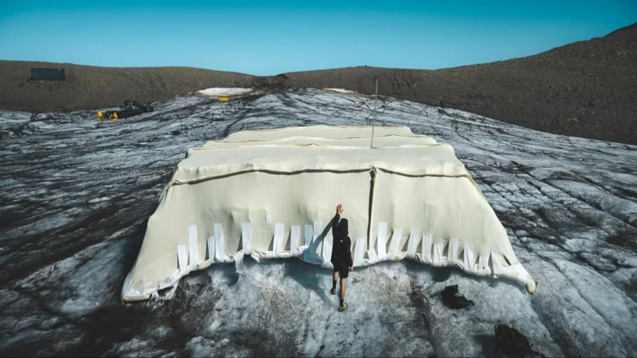 Estudiantes lograron reducir en más de un 50% el deshielo de un glaciar en los Alpes usando mantas de lana de oveja