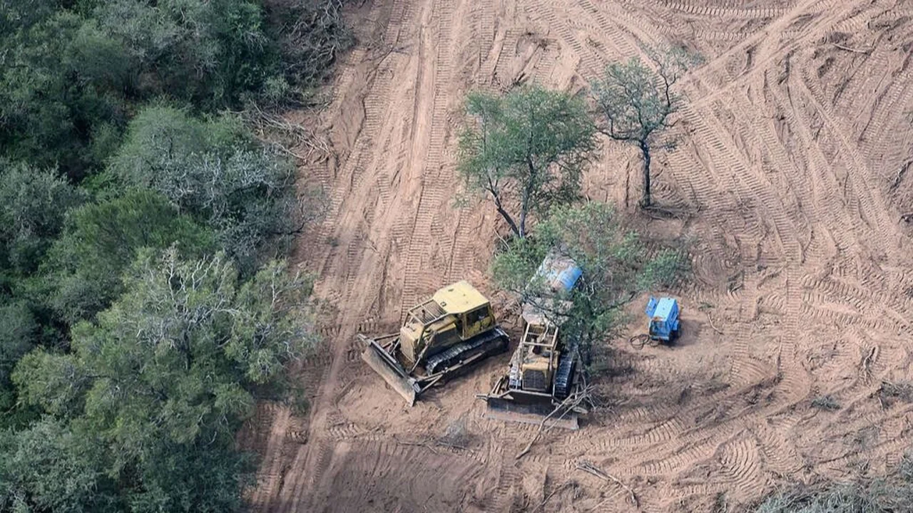 Avanza el desmonte en Salta: se perdieron 1.300 hectáreas cerca de Tartagal y exigen respuesta a Sáenz
