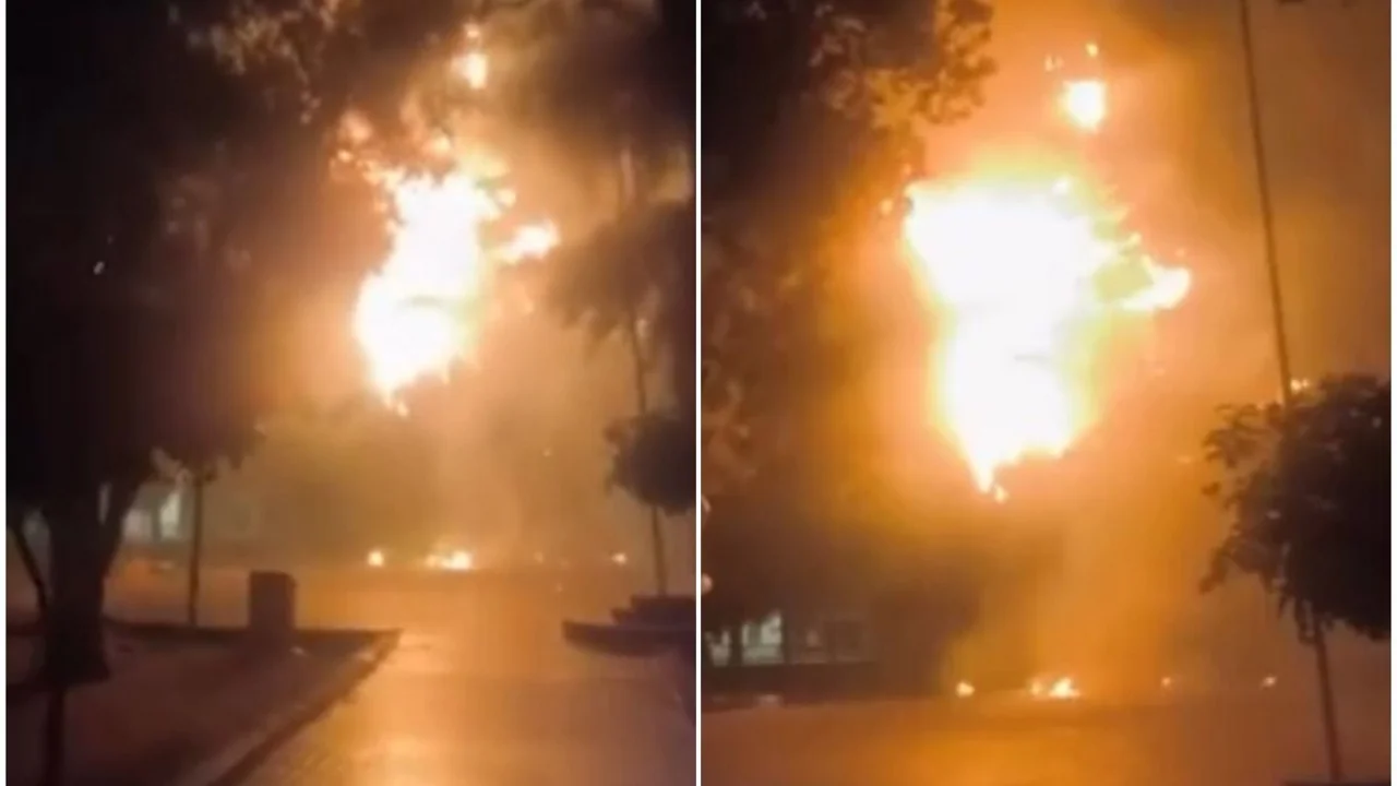 Impactante: cayó un rayo en plena plaza central e incendió la copa de un pino