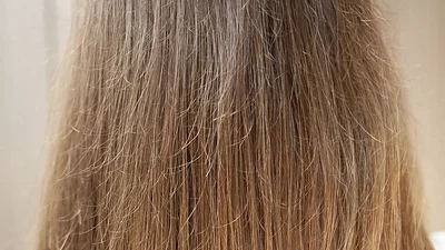 Frizz Frizz