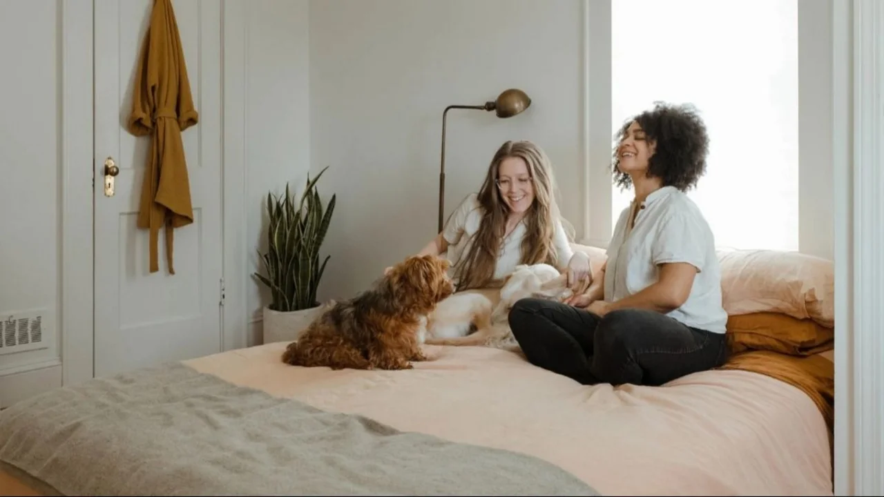 Cohousing: qué es y cómo funciona la tendencia de vivir con amigos para envejecer sin perder la independencia.