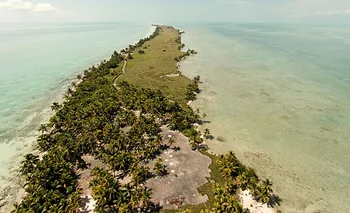 Leonardo DiCaprio compró una isla en Belice en 2005 para crear un paraíso ecológico | Medio ambiente