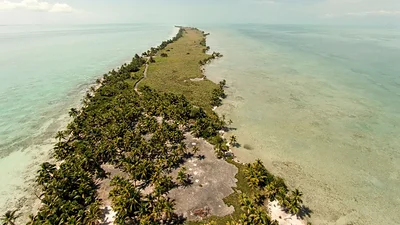 Leonardo DiCaprio compró una isla en Belice en 2005 para crear un paraíso ecológico Leonardo DiCaprio compró una isla en Belice en 2005 para crear un paraíso ecológico