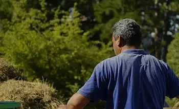 Cuánto cobran los trabajadores rurales | Salario