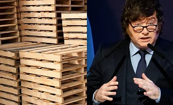 Quebró uno de los mayores fabricantes de pallets del país | Crisis económica