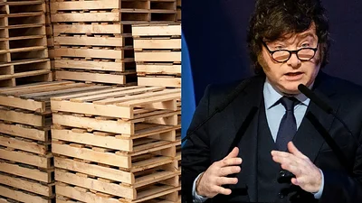Pallets Javier Milei Pallets Javier Milei