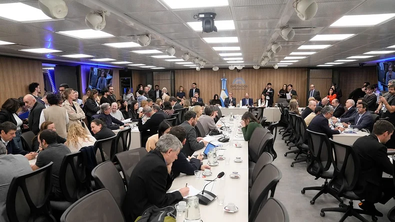 LLA reafirma la ley de Tierras de CFK, para blindar el DNU 70/23 de Milei | Congreso