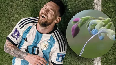 Lionel Messi. Lionel Messi.