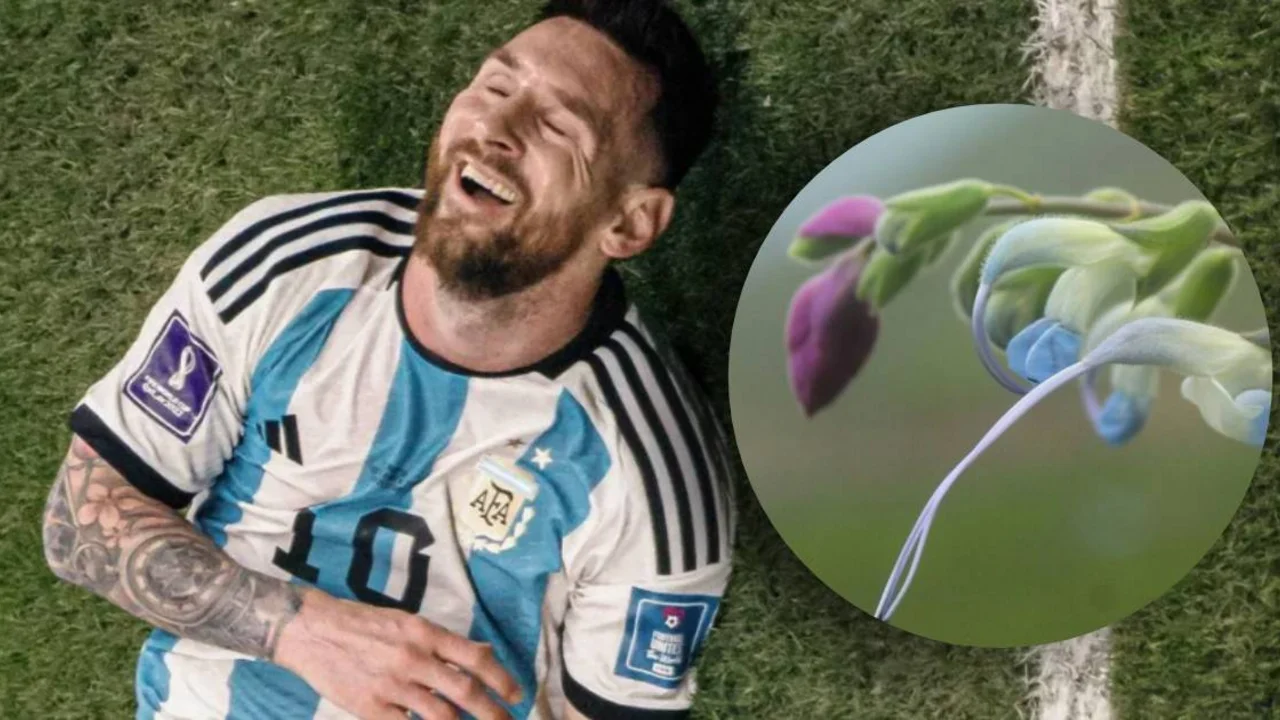 Lionel Messi.