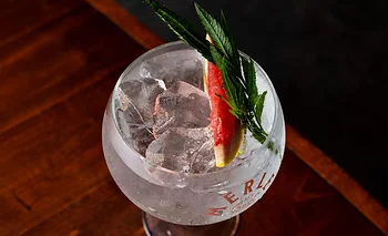 Día del Gin Tonic: 3 lugares de Buenos Aires que están en tendencia para salir | Gastronomía