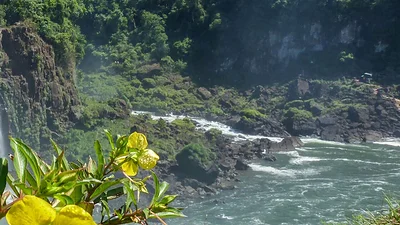 Nació de una donación en Misiones: la reserva que protege 78 hectáreas de selva nativa y conecta áreas clave Nació de una donación en Misiones: la reserva que protege 78 hectáreas de selva nativa y conecta áreas clave