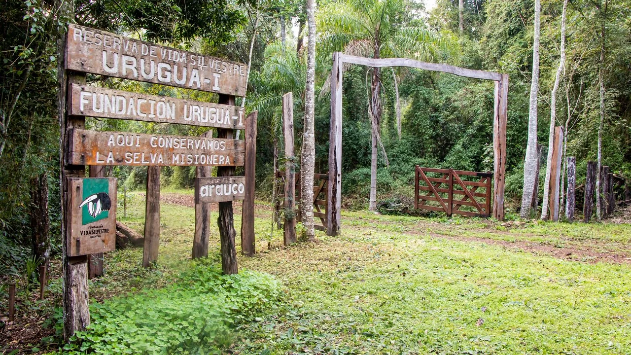 La donación de 78 hectáreas en 2017 que fue clave para salvar la Selva Misionera