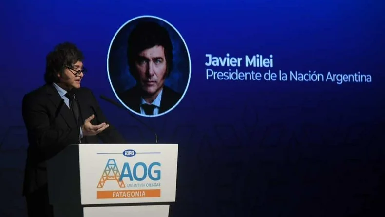 Conflictividad y riesgo país, camino al deadline de Milei | Javier milei presidente