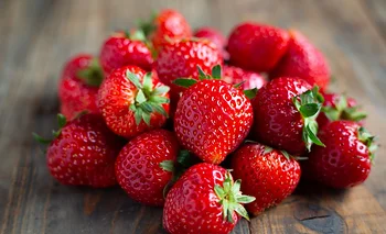General Rodríguez se prepara para la Fiesta de la Frutilla | Escapadas