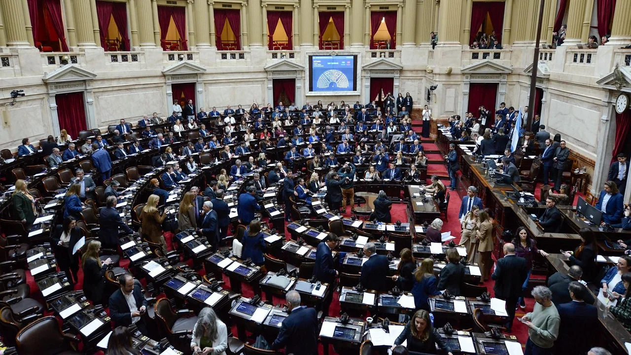 Diputados debate la prórroga de la Ley de Emergencia en Discapacidad