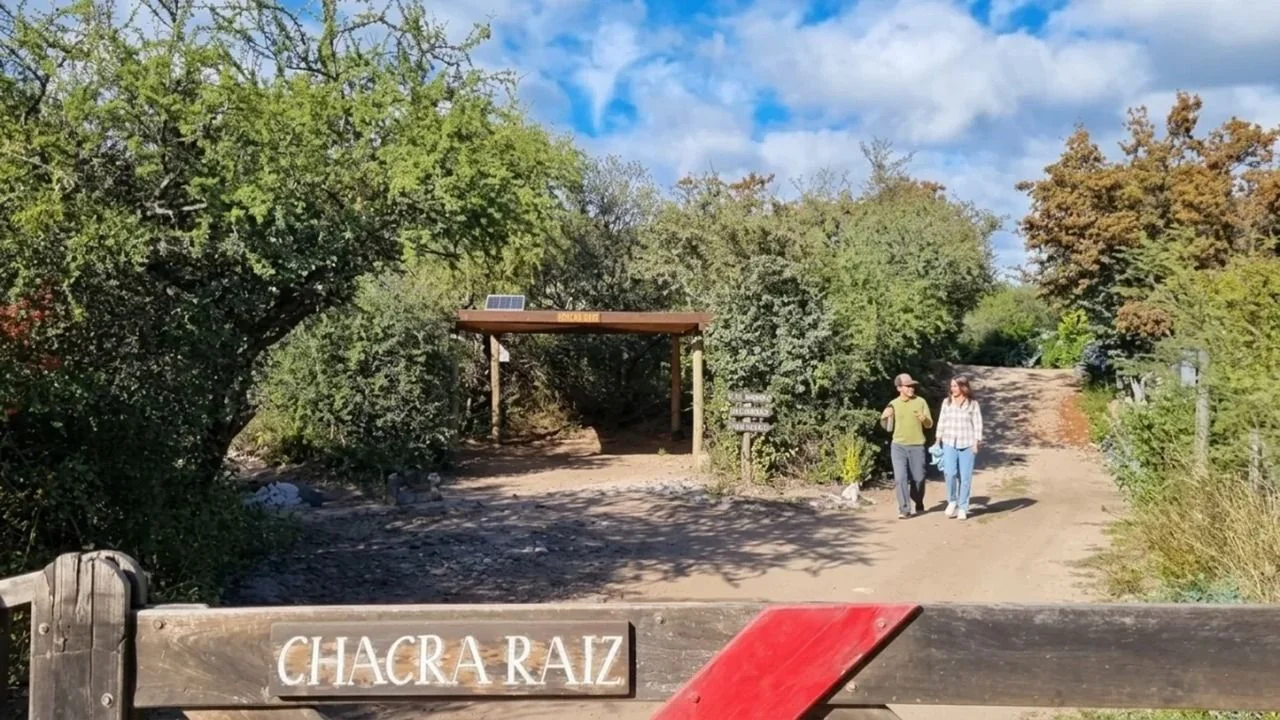De la publicidad a las sierras: la historia de la pareja que cambió Buenos Aires por la bioconstrucción en Córdoba