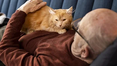 Hombre y su gato. Hombre y su gato.