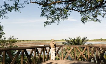Es un oasis natural en el corazón de la Ciudad y los jubilados tienen entrada gratis | Reserva ecológica costanera sur
