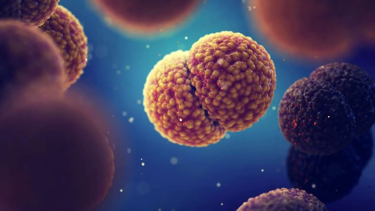 Alerta por un brote de meningitis: hay cuatro casos y dos personas fallecieron en Mendoza