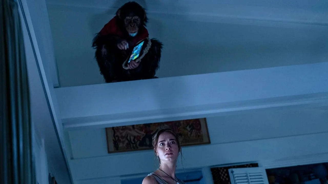 Primate