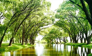 El pueblo bonaerense con más de 160 años perfecto para una escapada | Escapadas