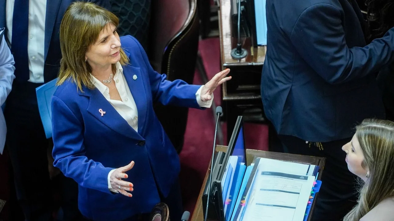 Senado de la Nación, media sanción, reforma de la Ley de Salud Mental, Ley de Salud Mental.