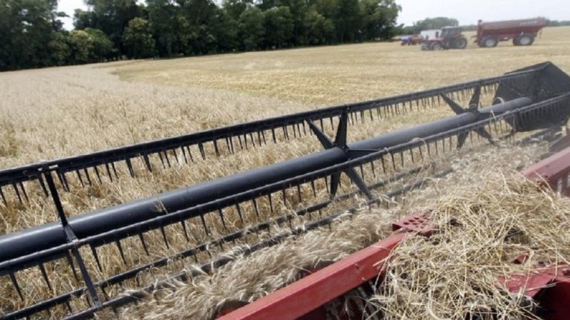 Cerealeras que exportan a Irlanda, bajo la lupa de la AFIP