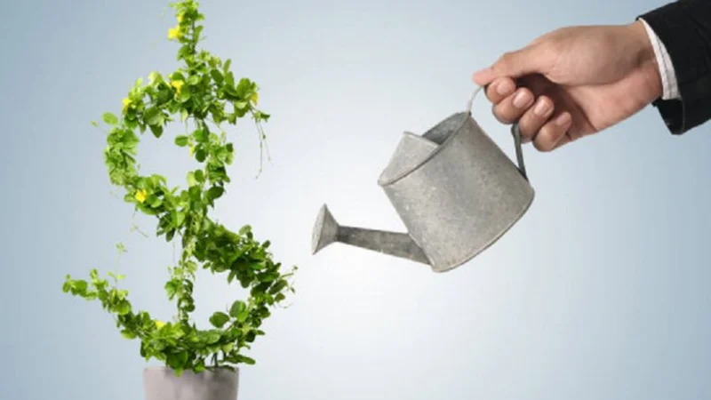 "Industria de la inversión": un modelo que tiene todo para crecer en la Argentina