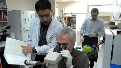 Científicos argentinos avanzan hacia la vacuna contra el cáncer de piel Científicos argentinos avanzan hacia la vacuna contra el cáncer de piel