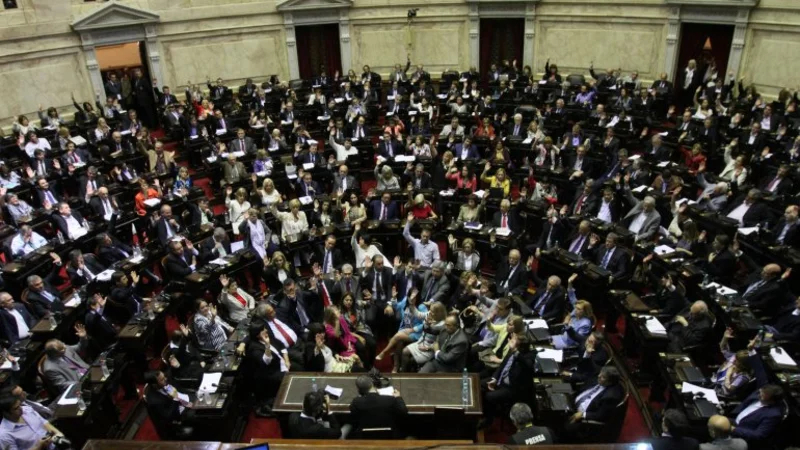 El kirchnerismo aprobó una ley para crear una empresa carbonífera
