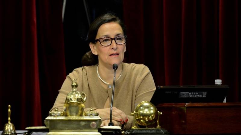 Papelón de Michetti: desempató la votación de una ley pero se debía seguir votando