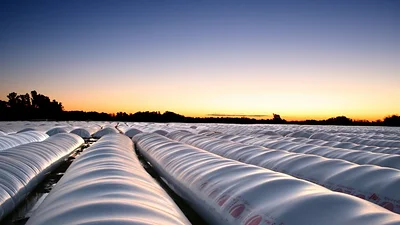El Campo tiene su propio ministro, pero liquidaron un 10% menos que el 2016 El Campo tiene su propio ministro, pero liquidaron un 10% menos que el 2016
