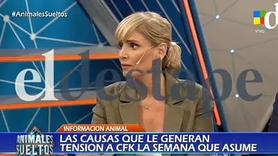 "Lamentablemente, no hay pruebas": la confesión de la abogada que denunció a Cristina "Lamentablemente, no hay pruebas": la confesión de la abogada que denunció a Cristina