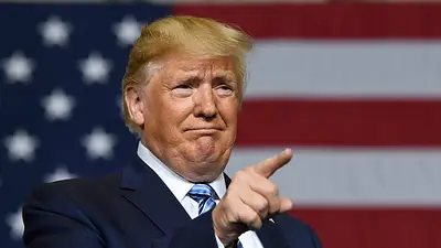 Donald Trump llamó a Alberto Fernández y lo felicitó por su triunfo electoral contra Mauricio Macri Donald Trump llamó a Alberto Fernández y lo felicitó por su triunfo electoral contra Mauricio Macri