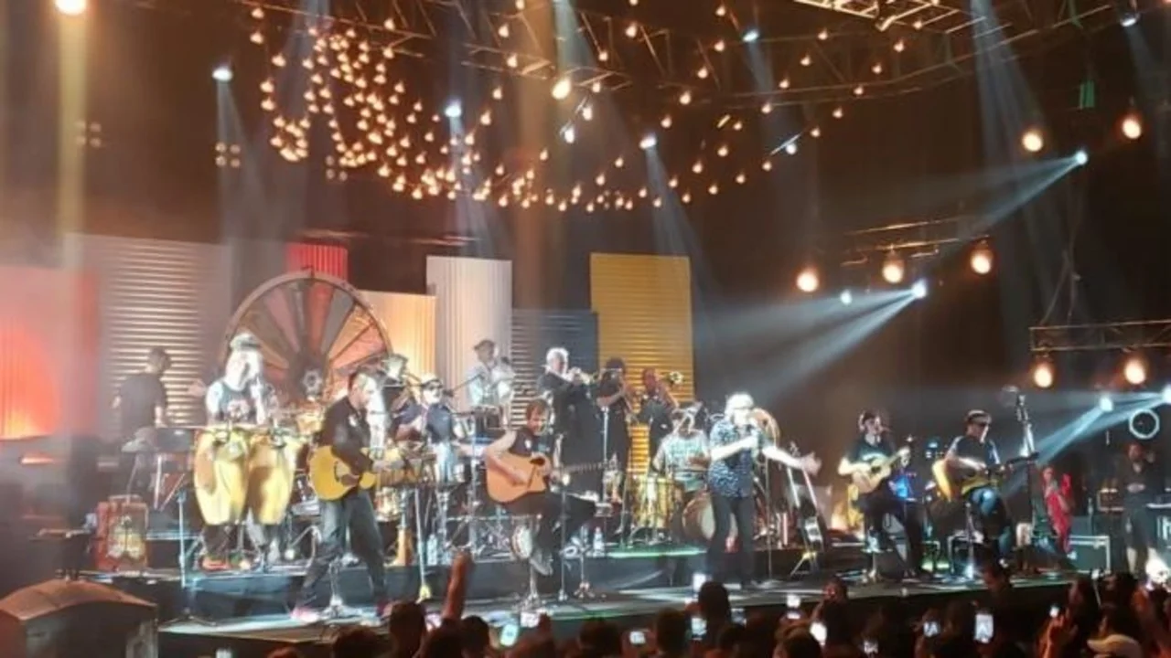 "¡Chile despertó!": El conmovedor canto de los chilenos en un recital de los Auténticos Decadentes