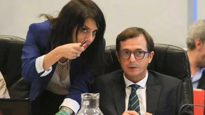 Daniel Lipovetzky se despegó de la postura de Macri y Faurie y habló de golpe de Estado en Bolivia