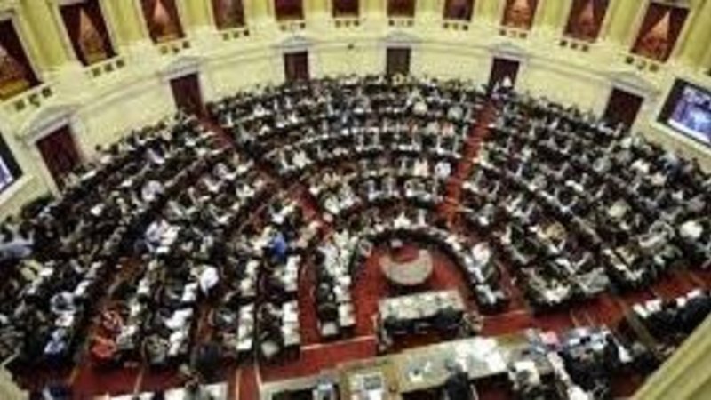 La oposición unida convocó a una sesión especial en el Congreso para repudiar el golpe de Estado en Bolivia 
