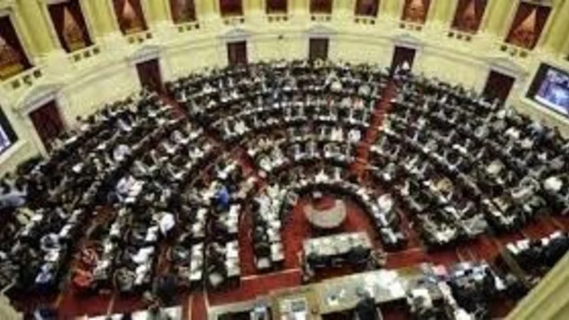 La oposición unida convocó a una sesión especial en el Congreso para repudiar el golpe de Estado en Bolivia 