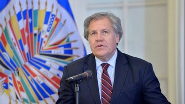 Desnudan la manipulación del informe de la OEA sobre Bolivia