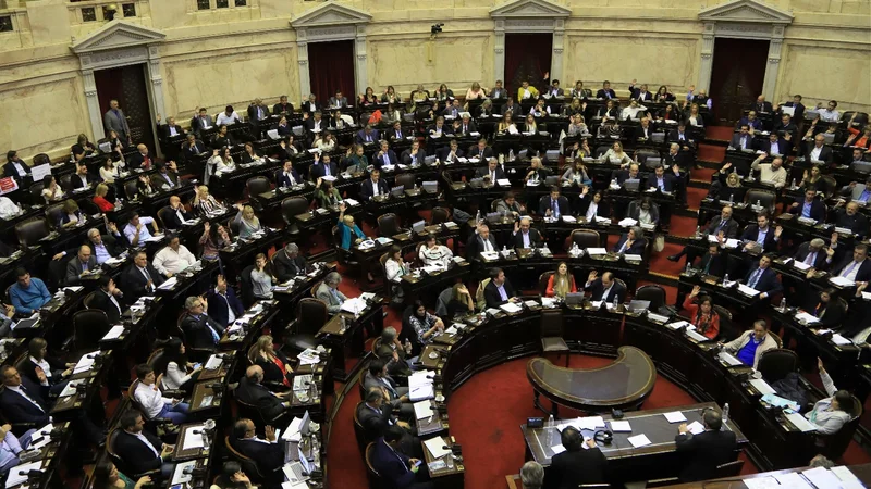 El Congreso expresó un fuerte rechazo al golpe de Estado en Bolivia