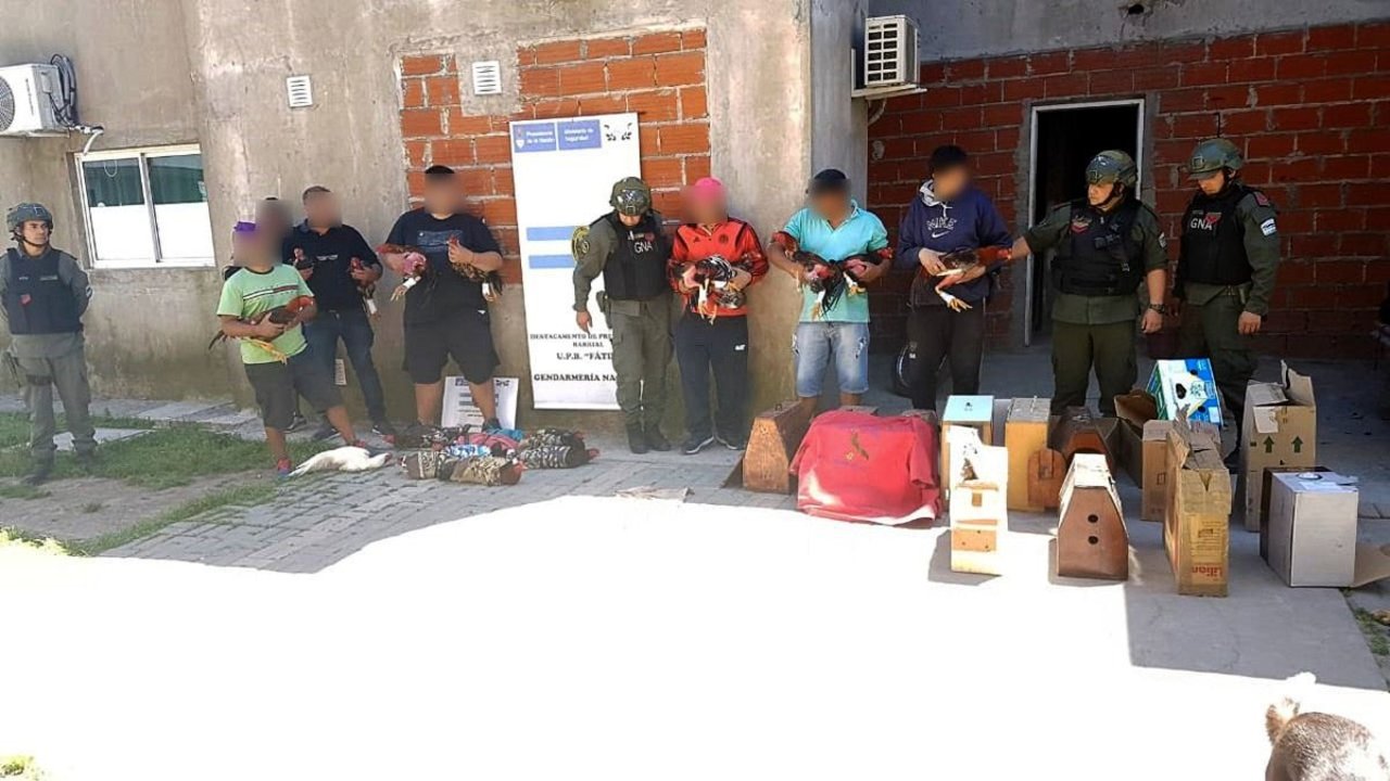 Escenas de la vida gendarme 2