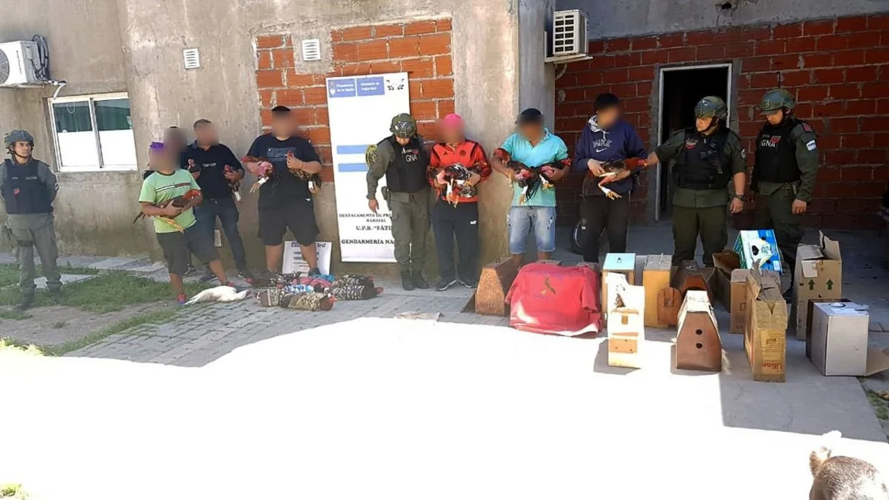 Escenas de la vida gendarme 2