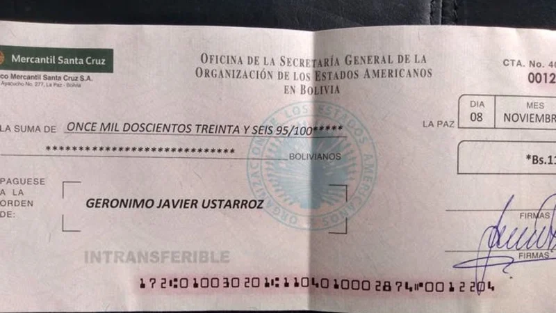 Ustarroz, el enviado de Alberto a Bolivia que la OEA acusa de "espía": "La acusación es una locura"