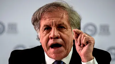 Tras ser derrotados, la OEA también felicitó a Arce por la victoria en las elecciones en Bolivia Tras ser derrotados, la OEA también felicitó a Arce por la victoria en las elecciones en Bolivia