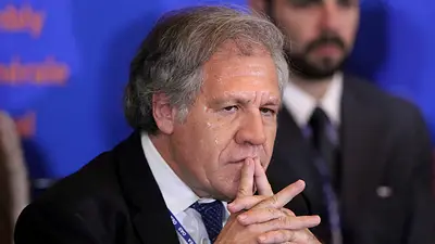 La OEA reconoció que no tiene informe definitivo sobre las elecciones en Bolivia La OEA reconoció que no tiene informe definitivo sobre las elecciones en Bolivia